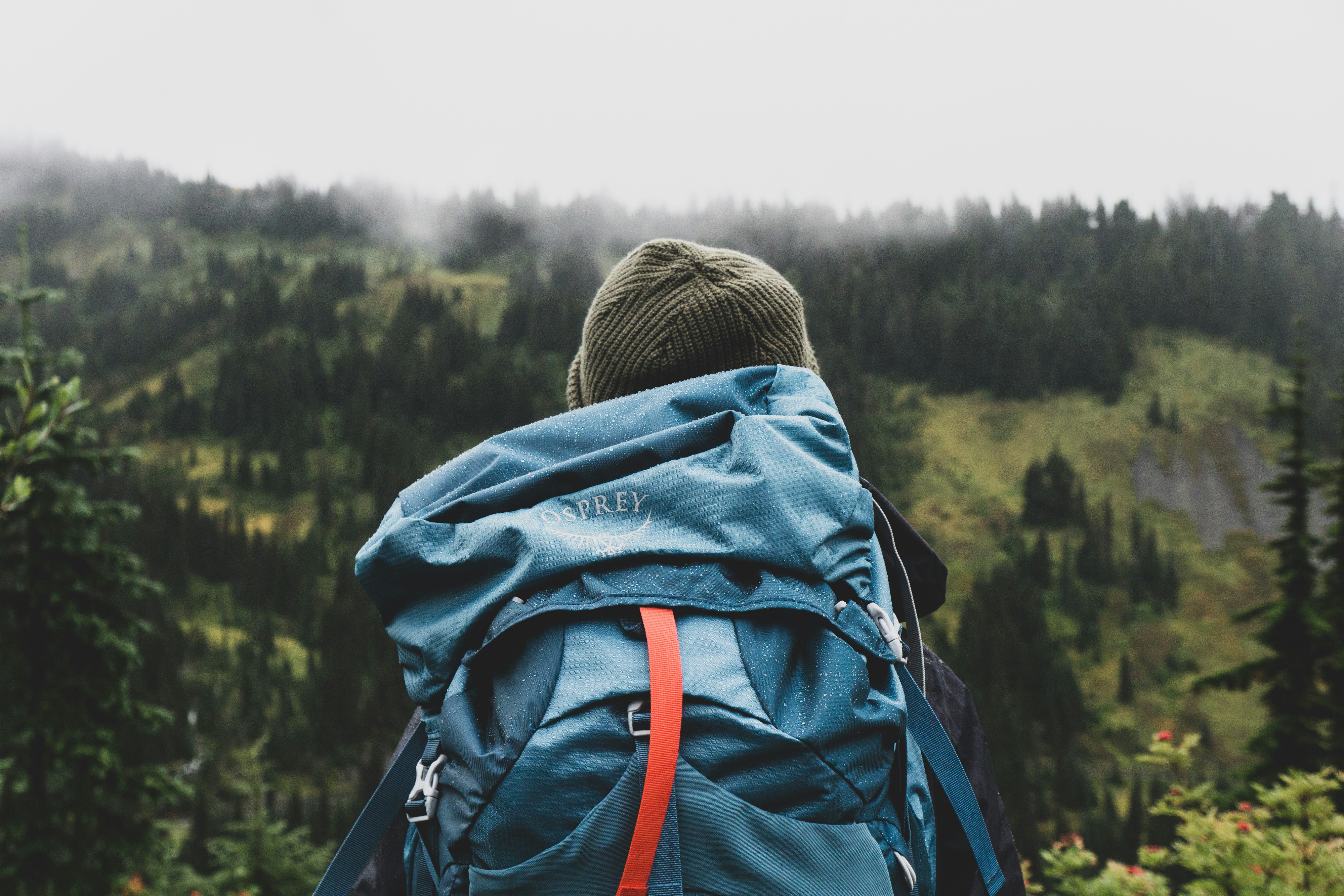 Palm Spring Backpacking |