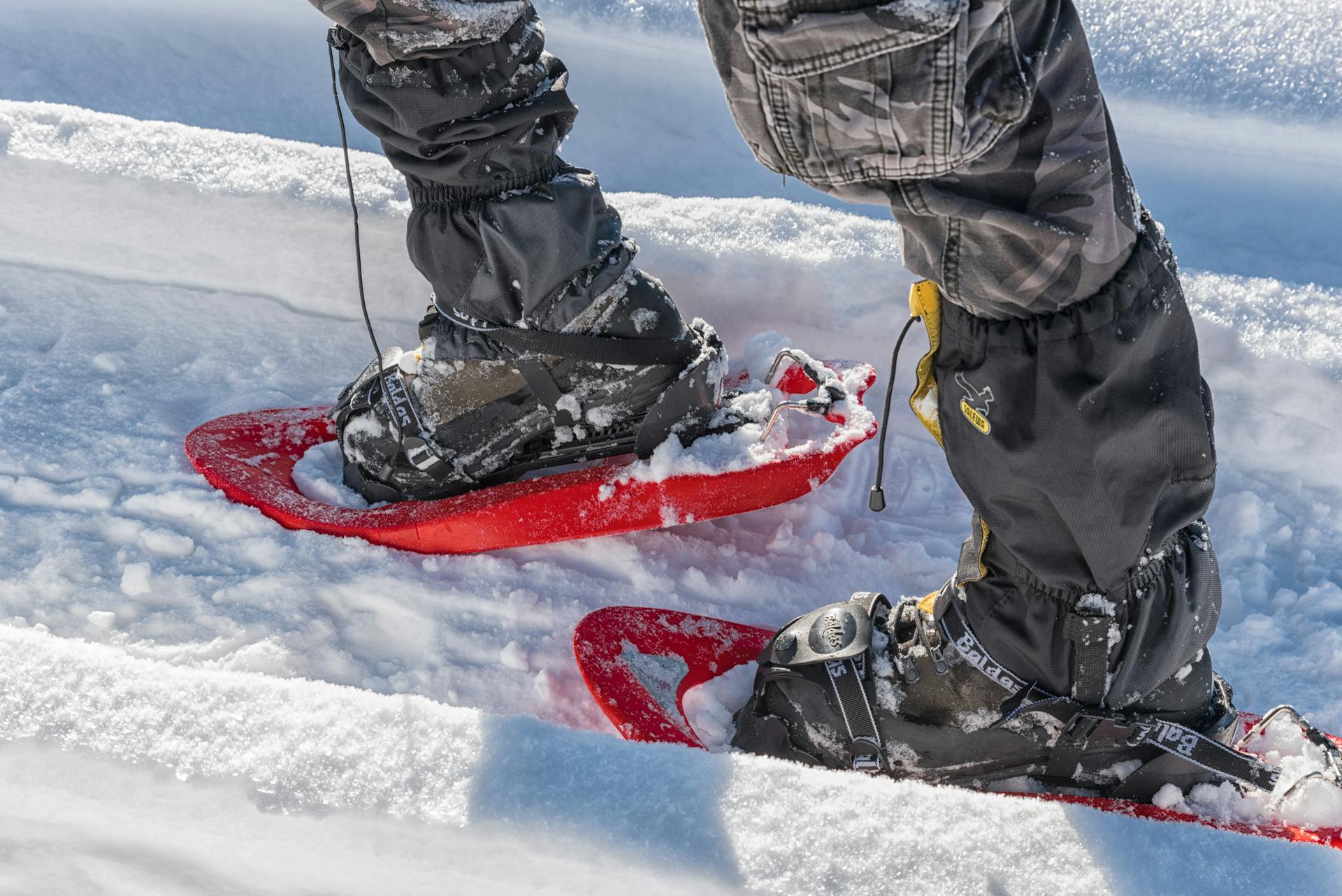 Knoxville Snowshoe | 