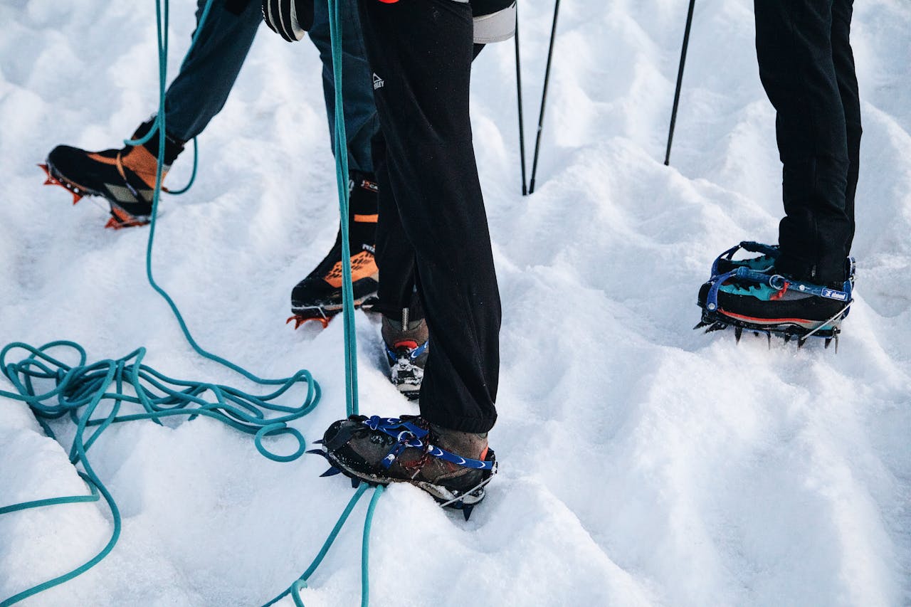 snowshoes |
