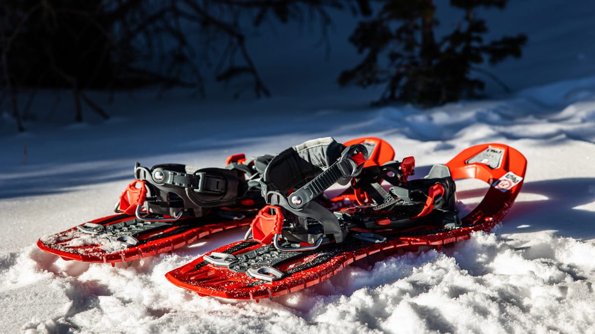 snowshoes |