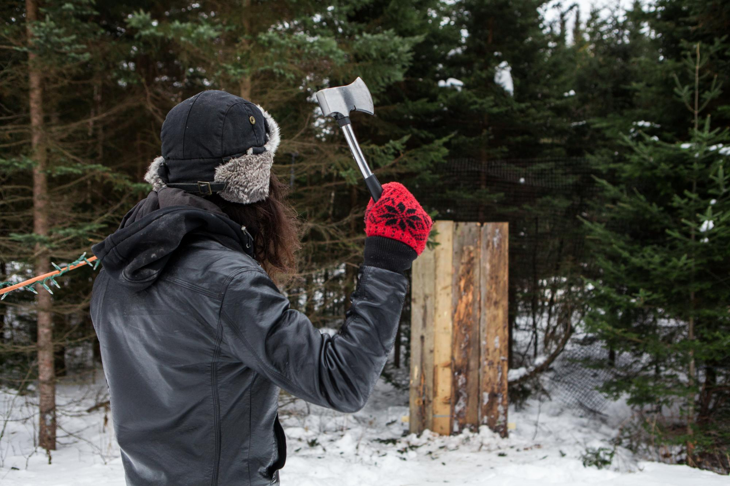 ice axe | 