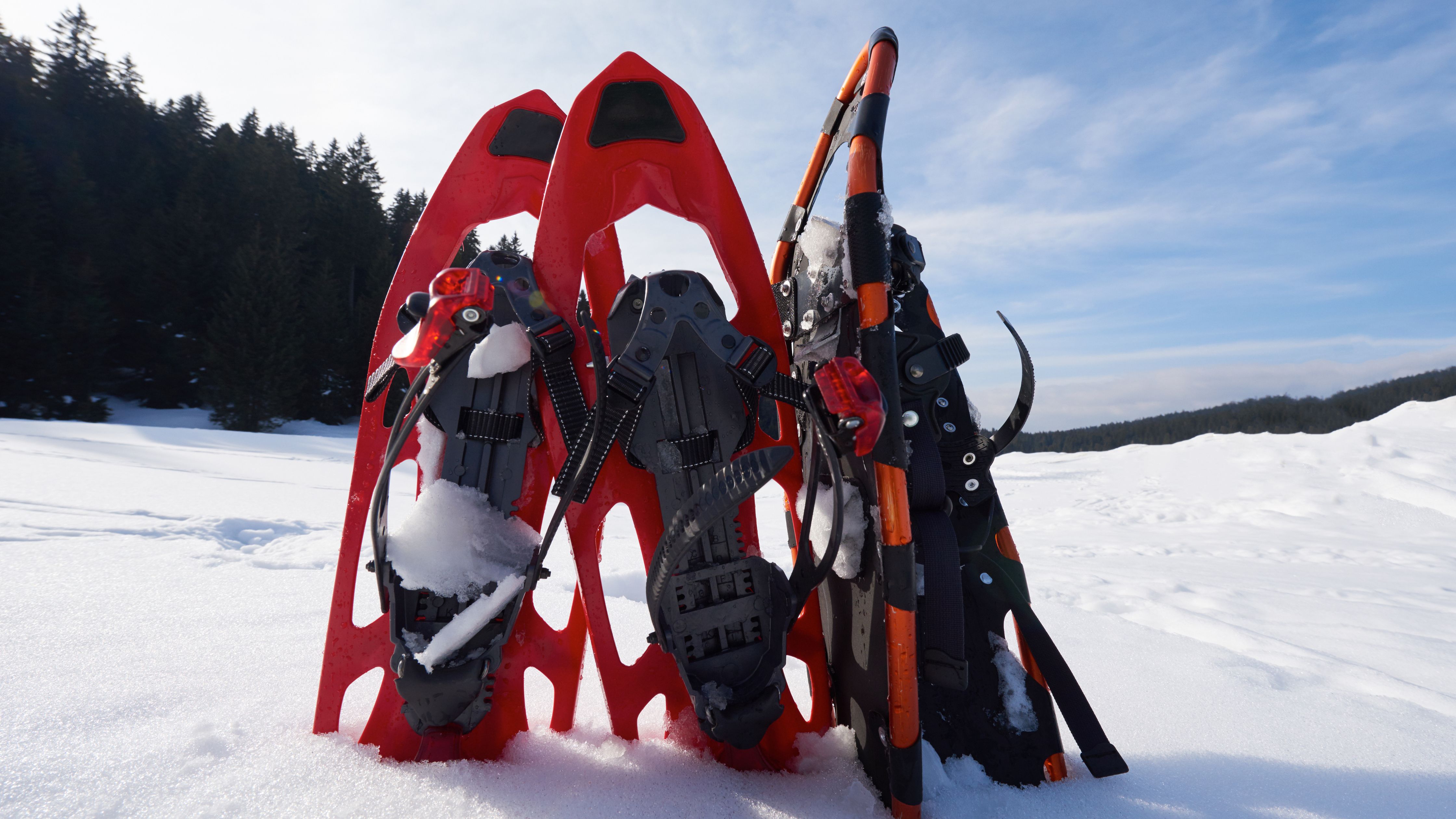 Snowshoes | 
