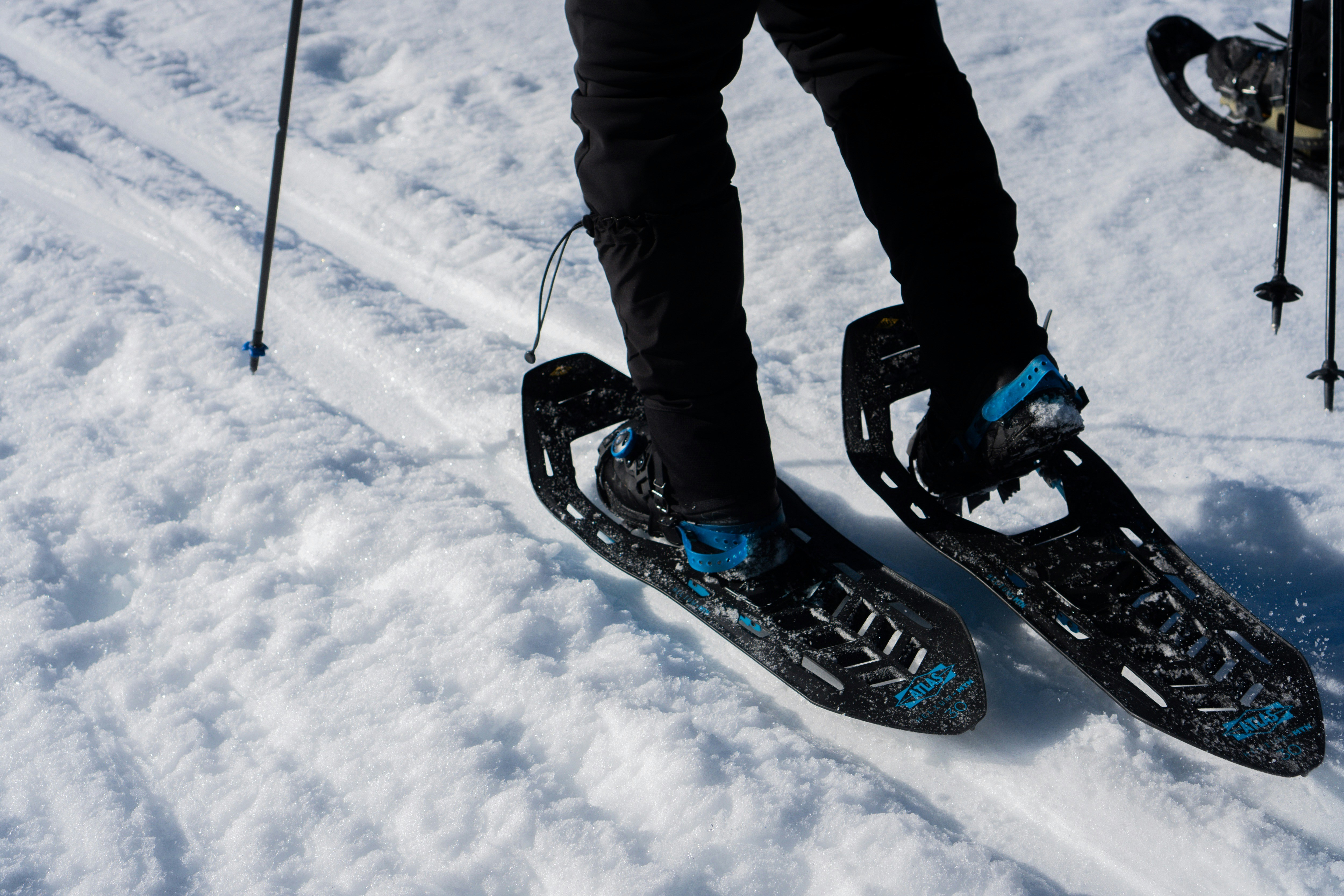 Asheville Snowshoes | 