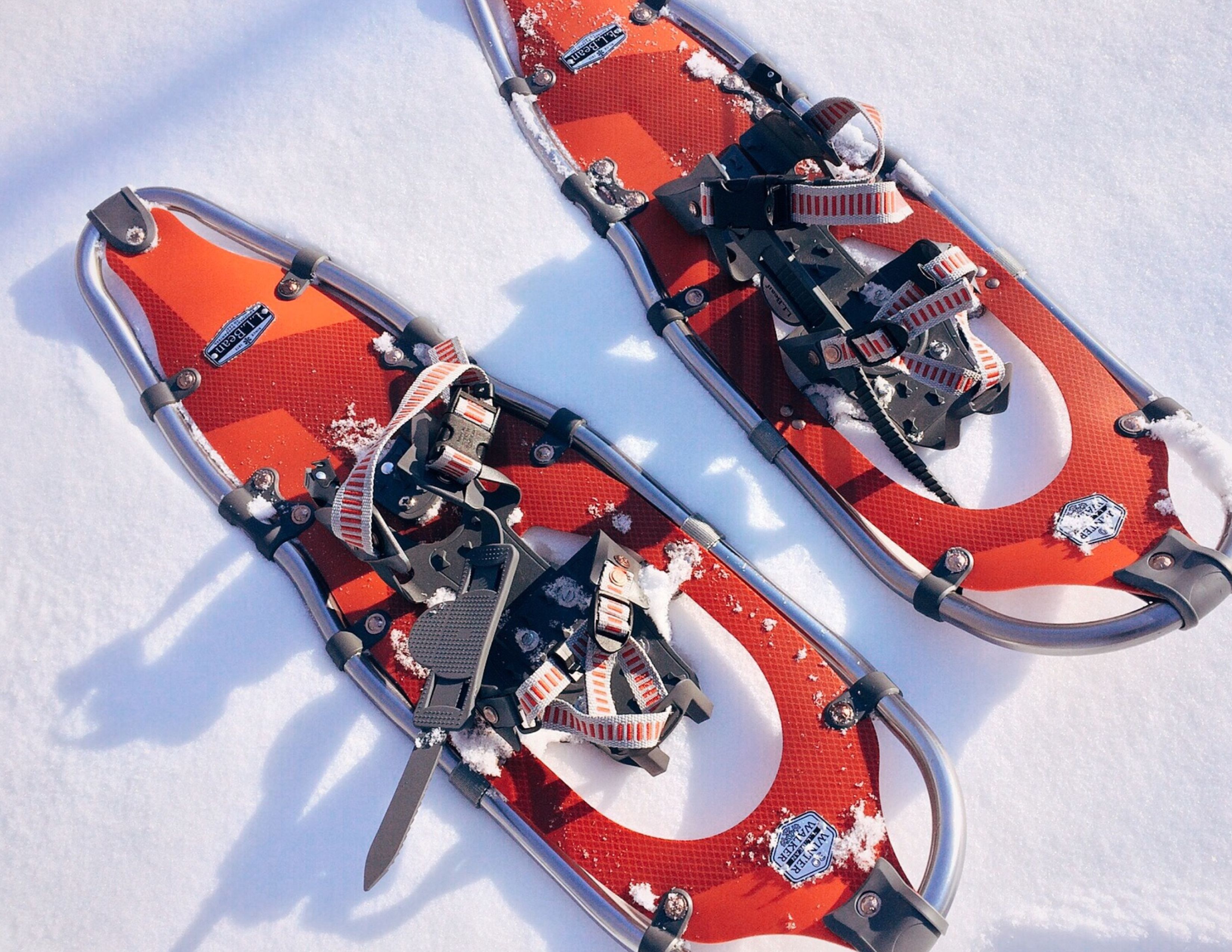 Bellevue Snowshoeing |