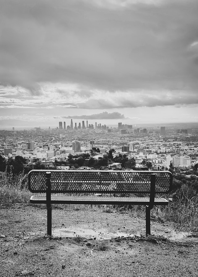 Los Angeles bench with a view |