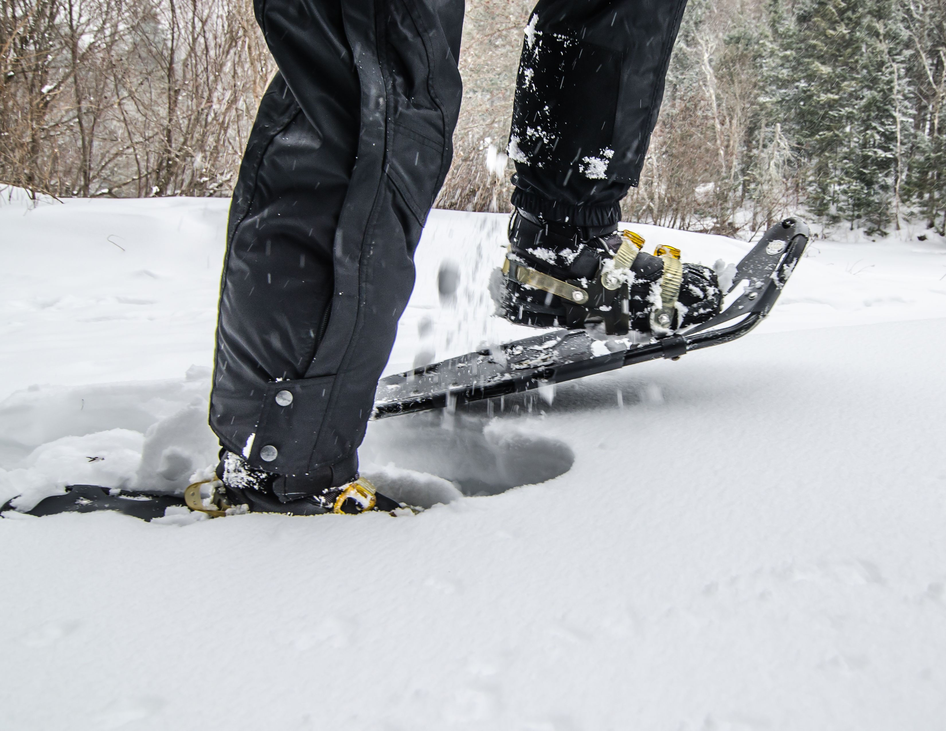 Snowshoing