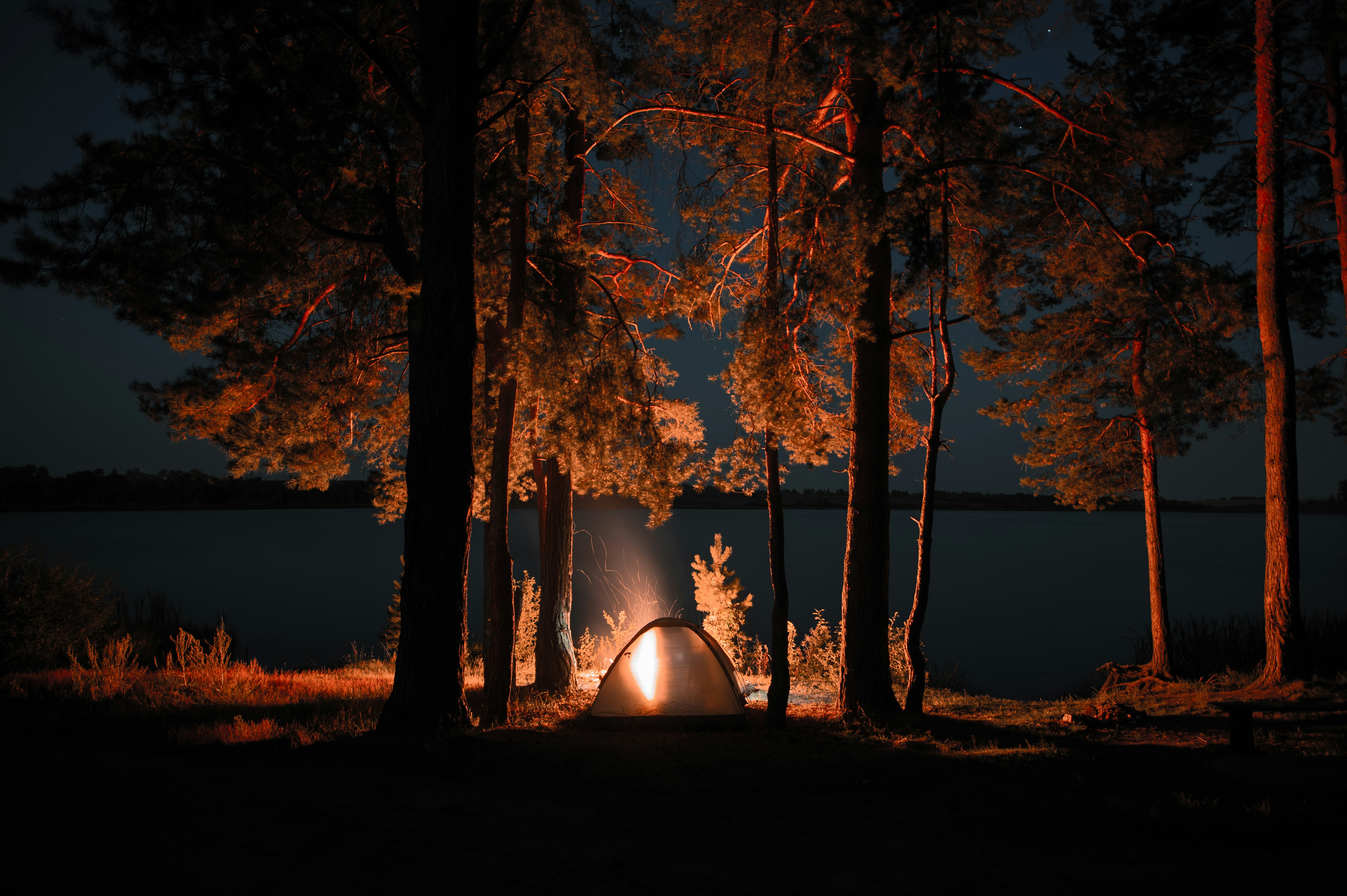 Palm Spring Camping | 
