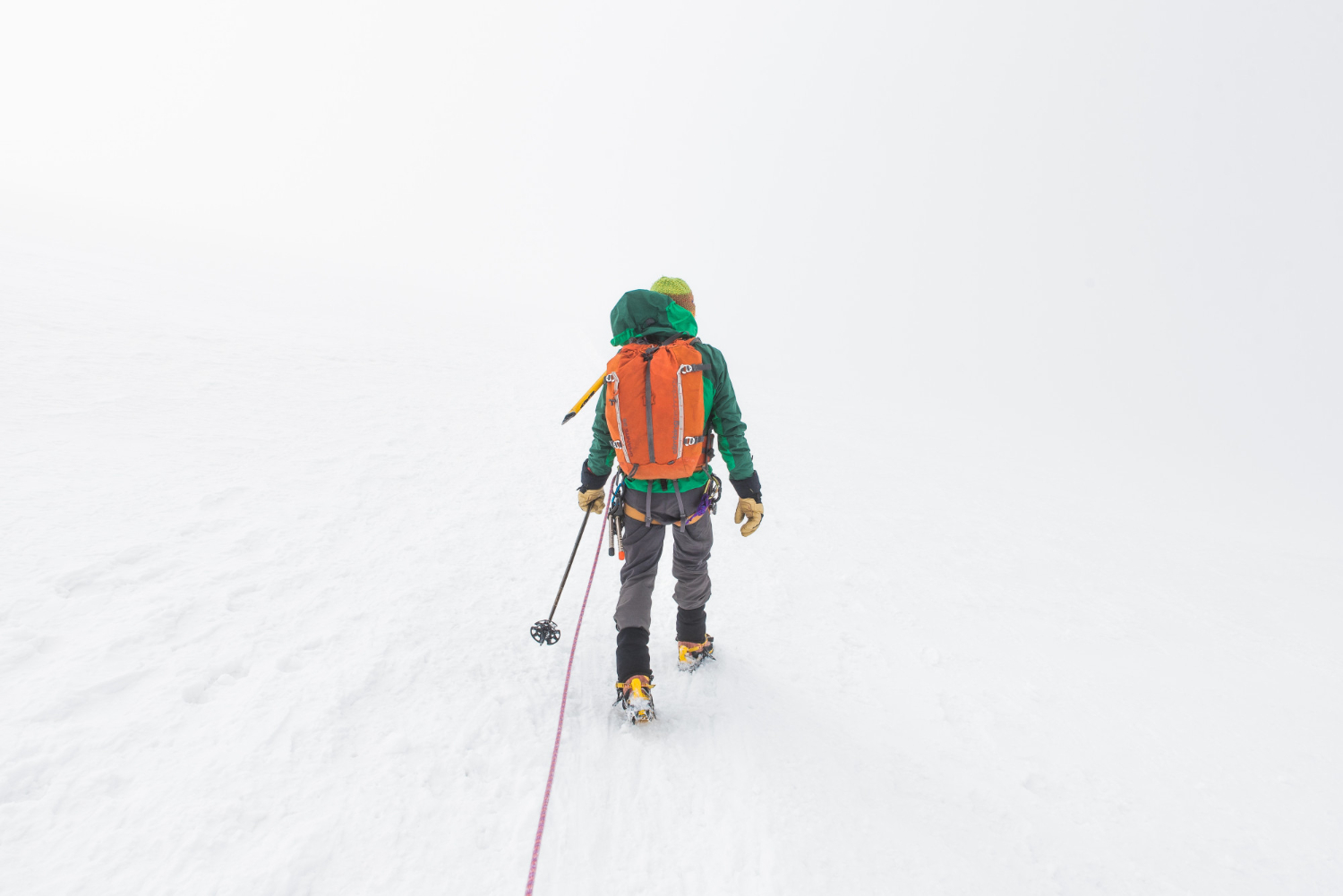 avalanche probe  | 