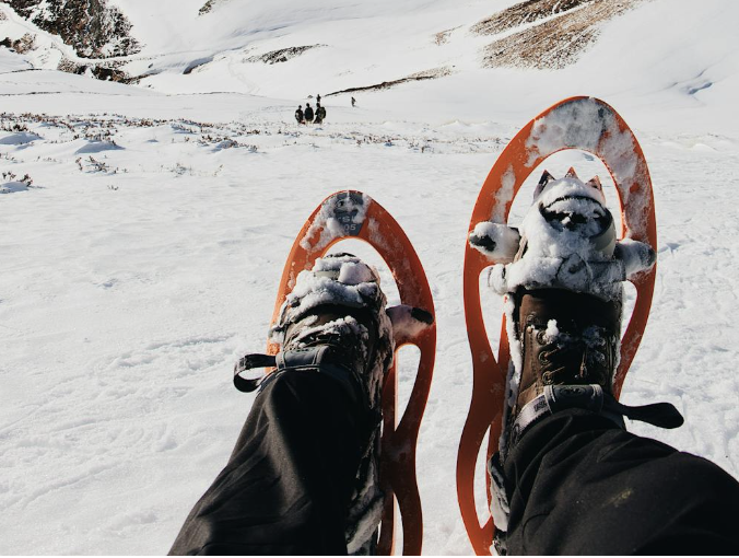 snowshoes |