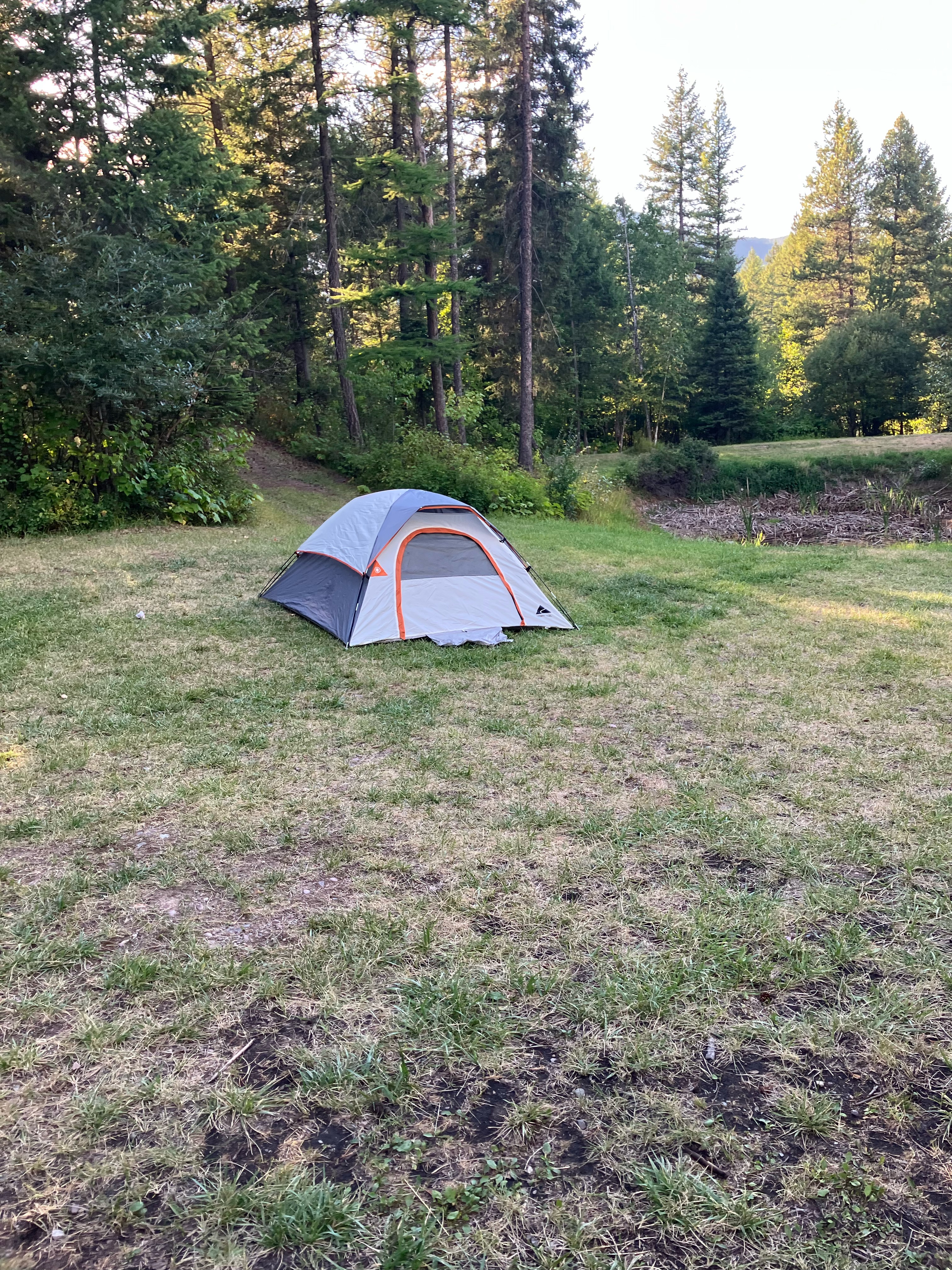 Ozark Tent Bellevue Rental |