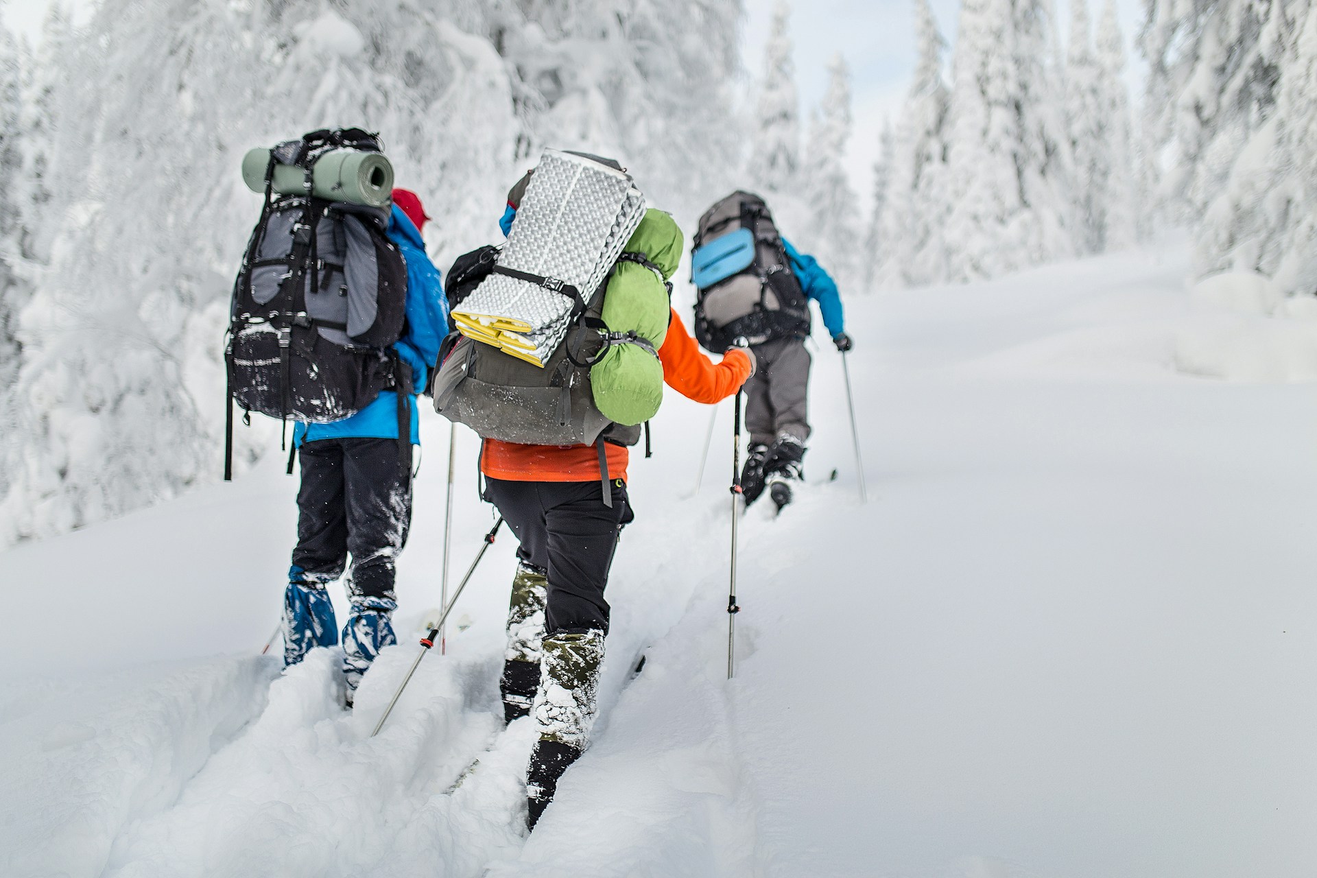 snowshoeing