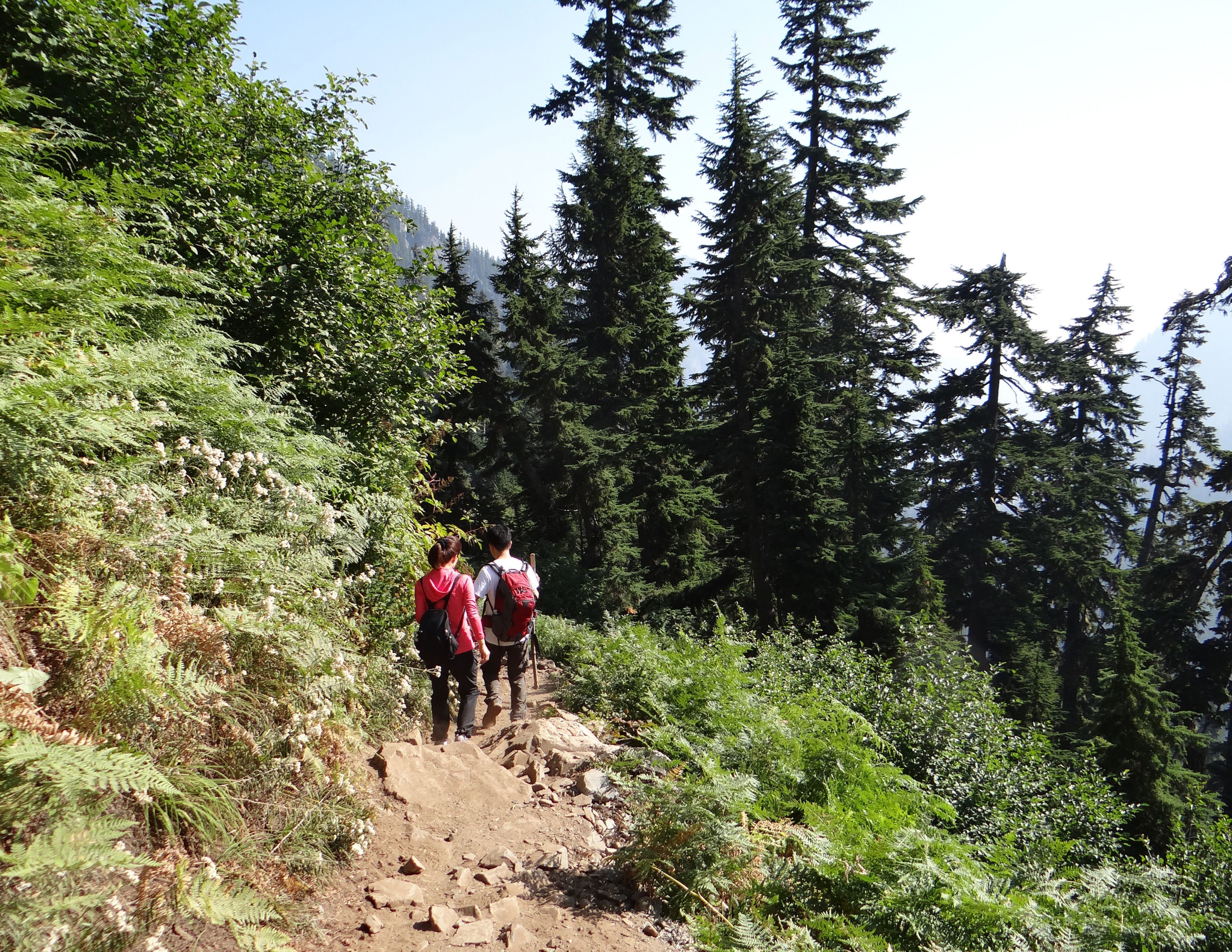 Hiking Gear Rental in Shoreline |