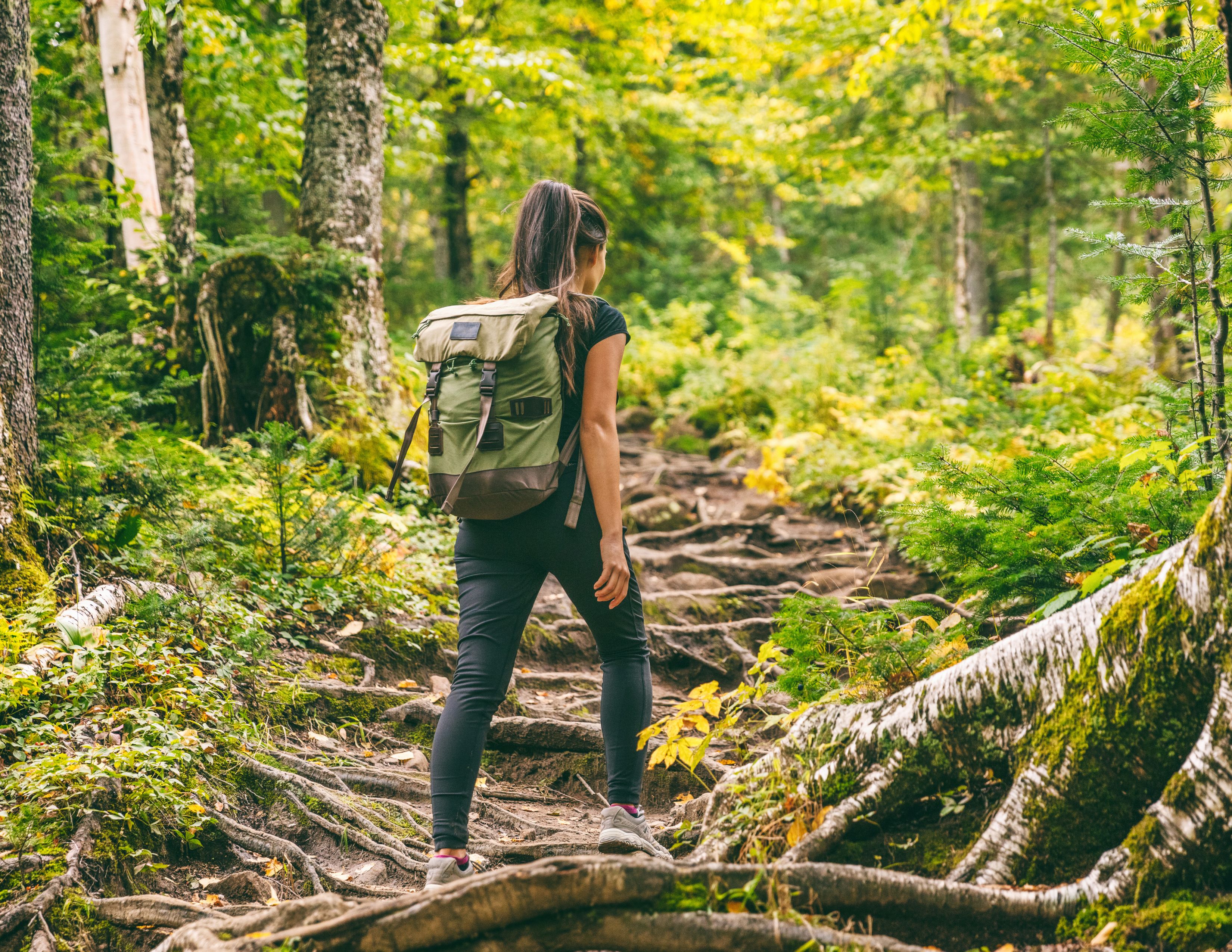 Hikers Around Bellevue |
