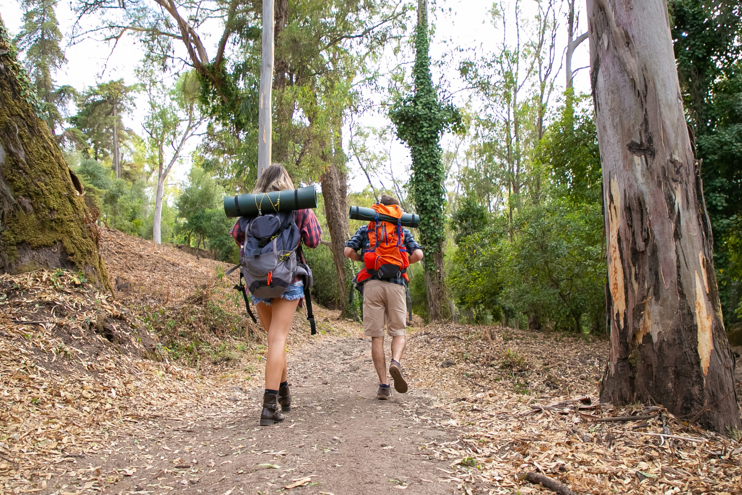 outdoor adventure |