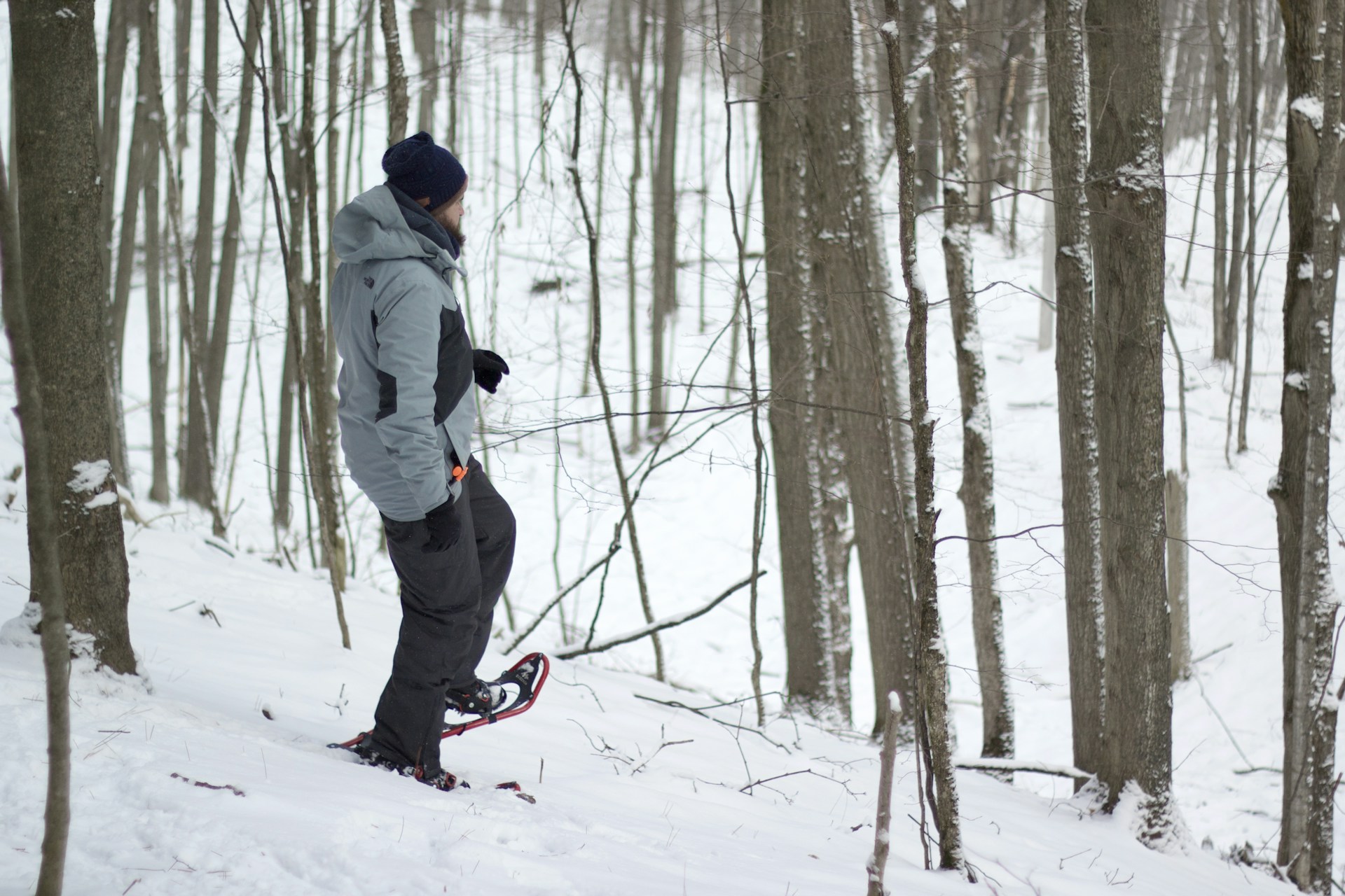 snowshoeing |
