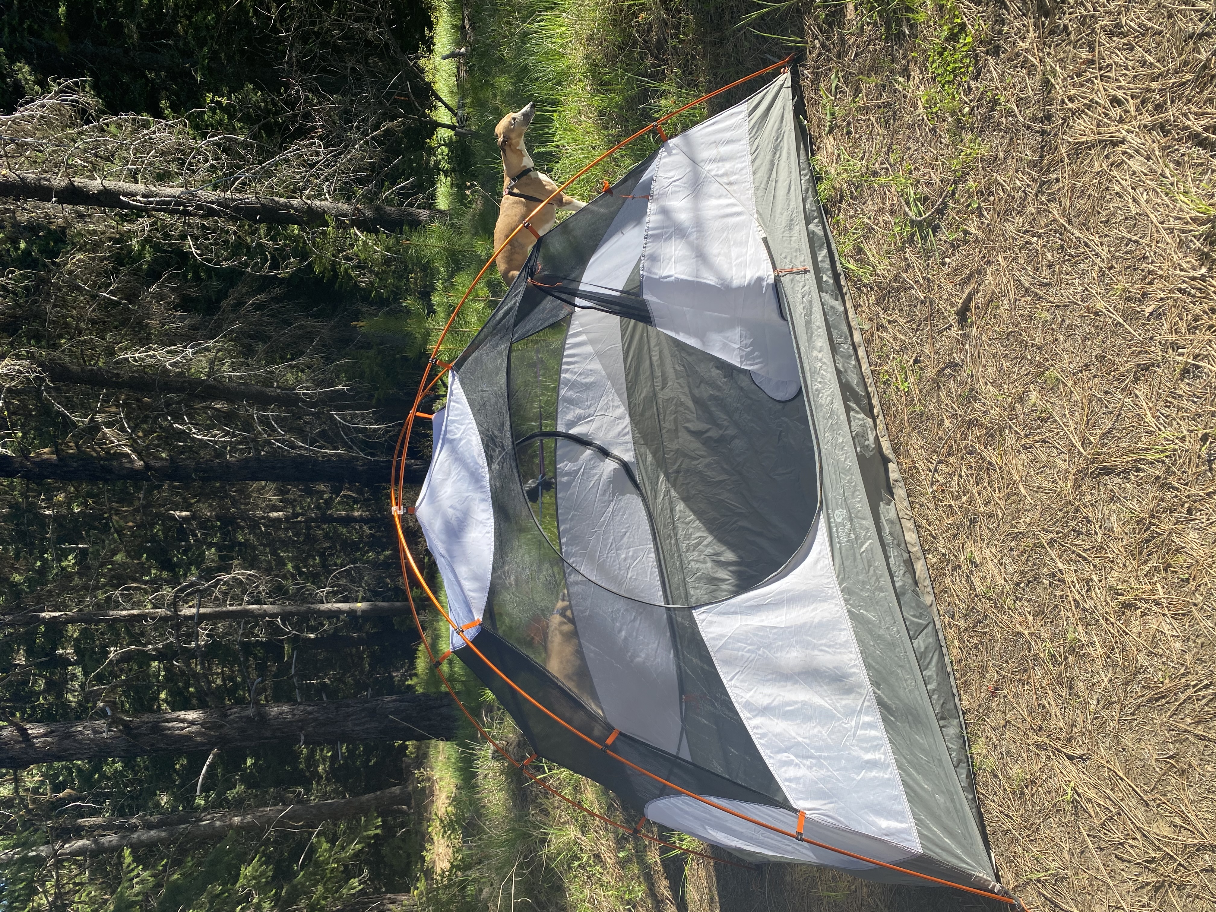 Camping Tent Rental Seattle | 