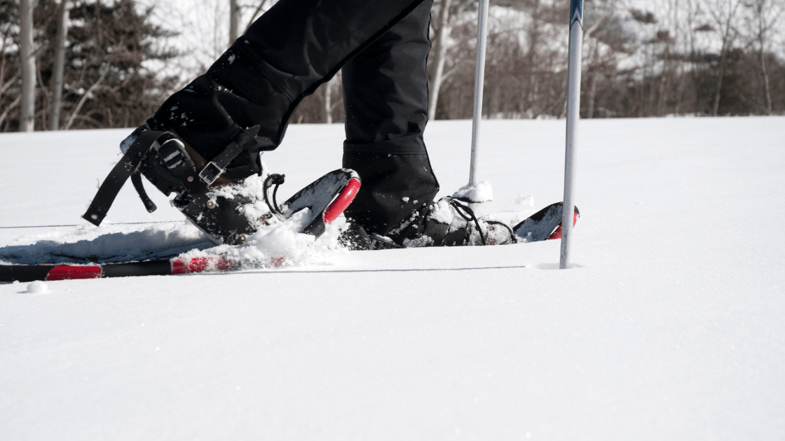 Los Angeles snowshoeing trail |