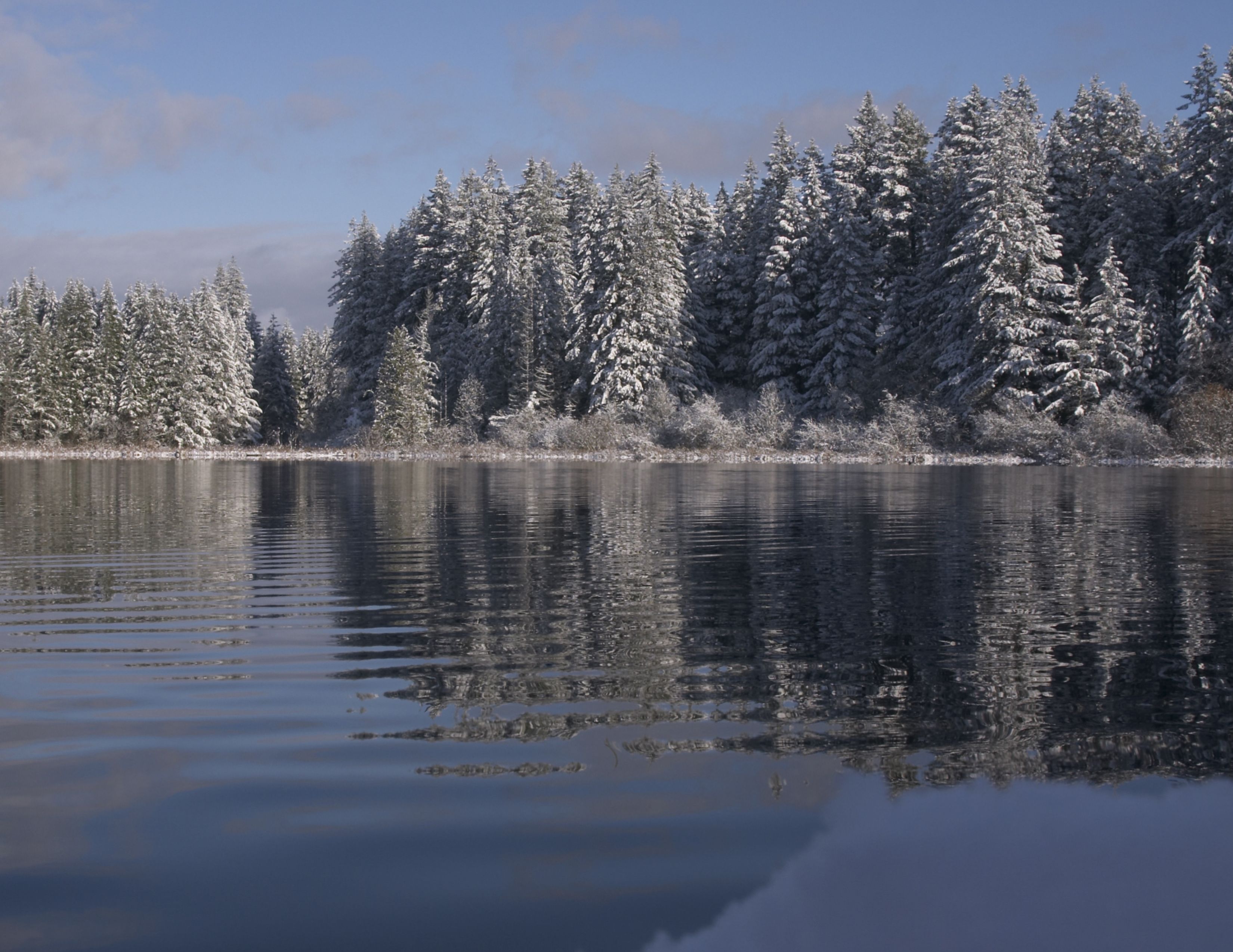 Winter Issaquah Snowshoeing |