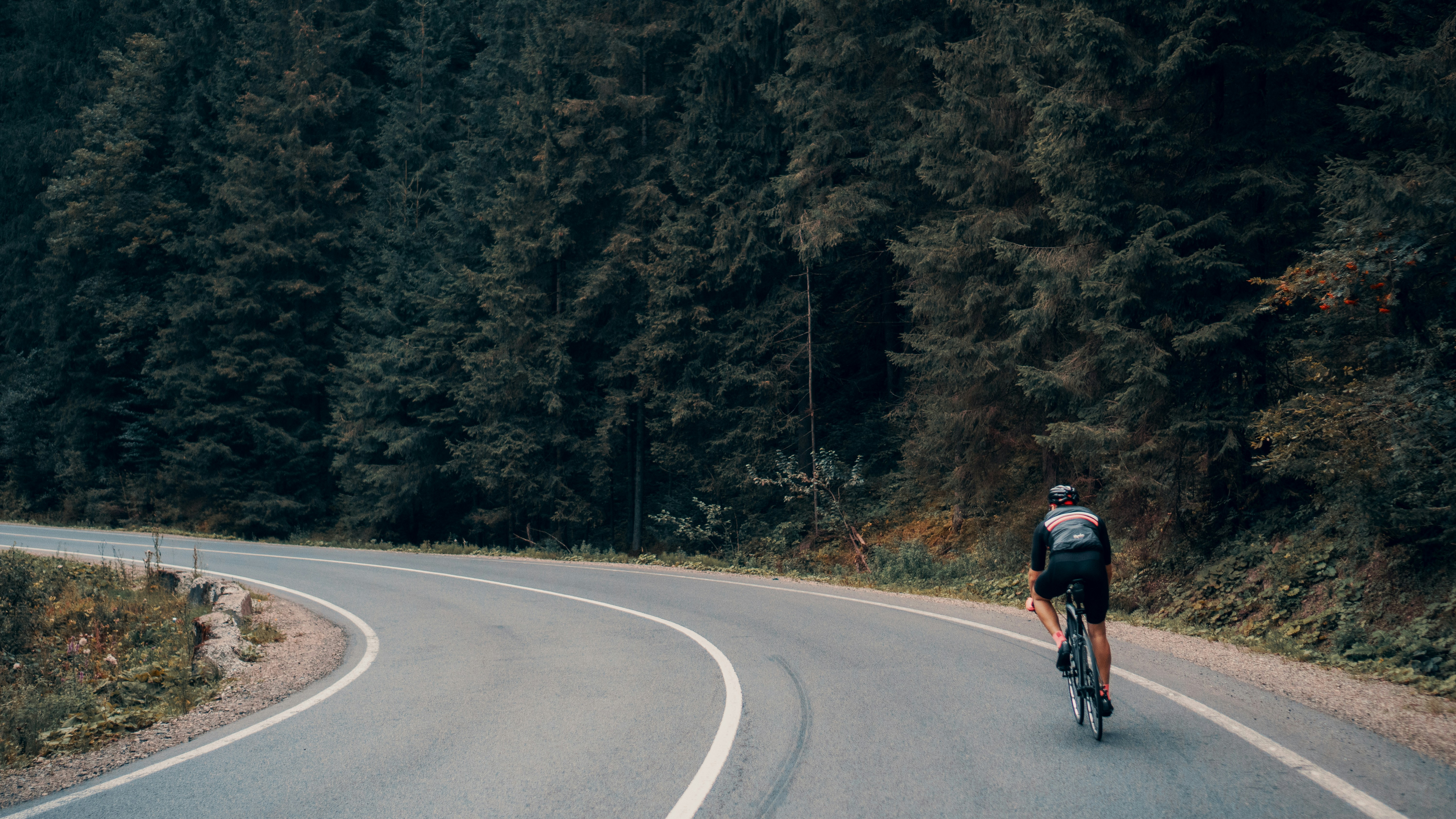 Asheville, North Carolina, is a fantastic destination for bikers of all levels, offering a diverse range of trails from challenging mountain bike adventures to scenic greenway cruises and exhilarating road rides |