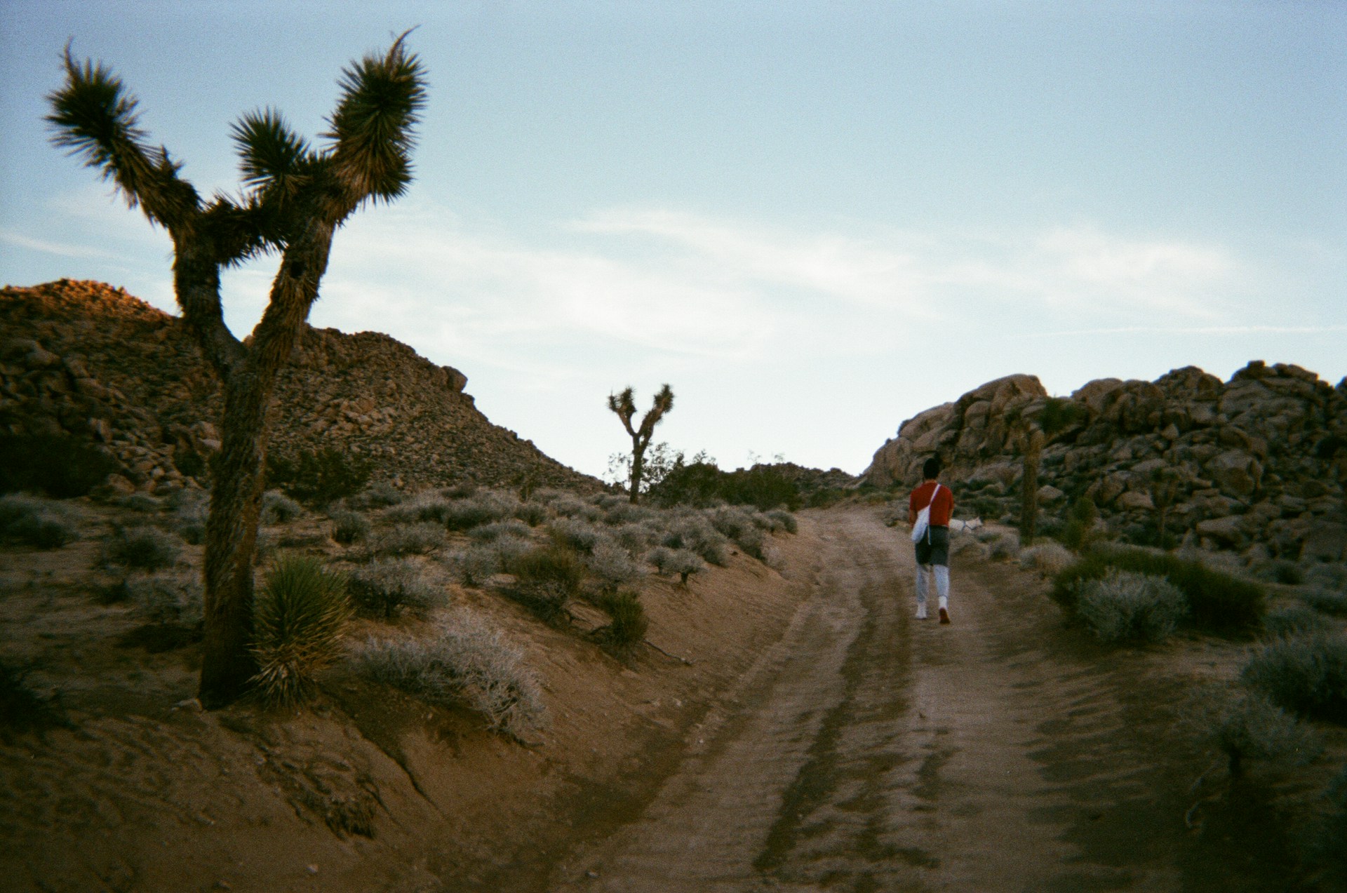 palm springs |