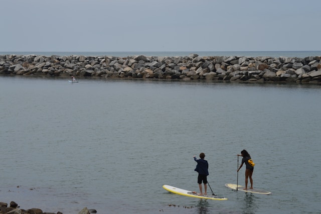 Santa Barbara Harbor Paddleboarding |
