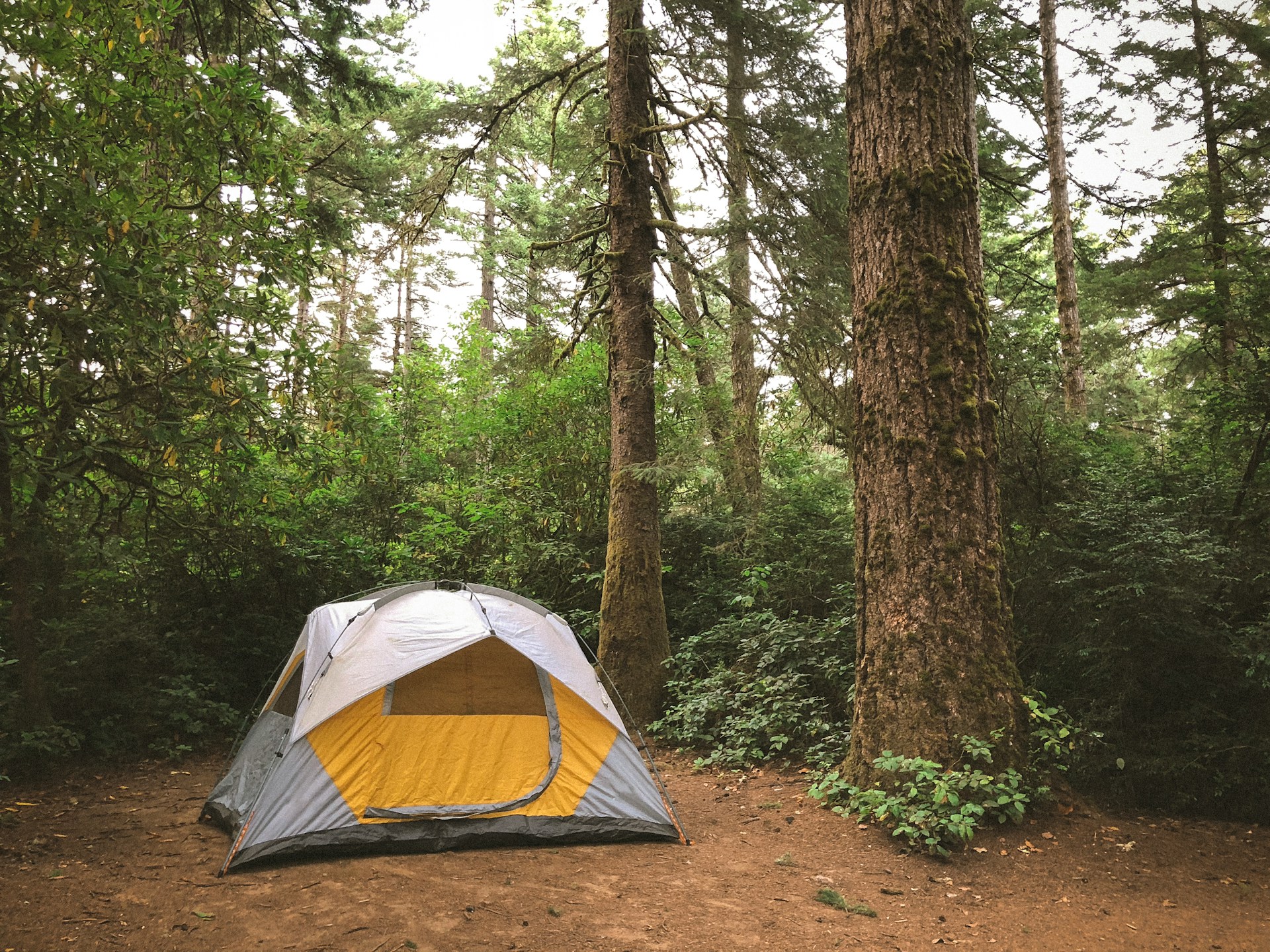 camping tent | 