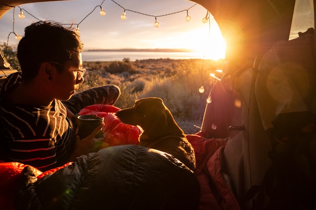 Car camping with a dog |
