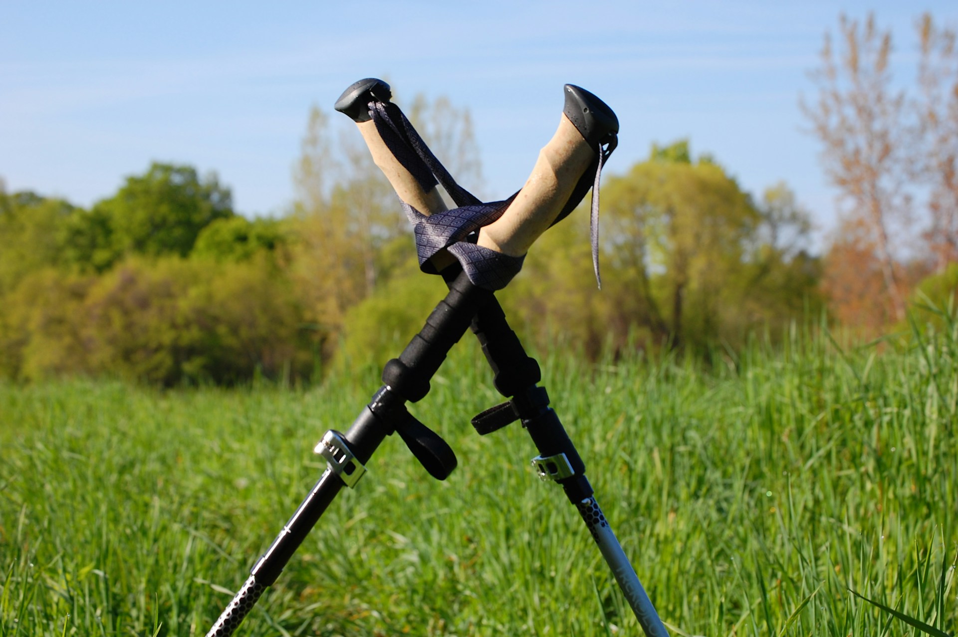 trekking poles | 
