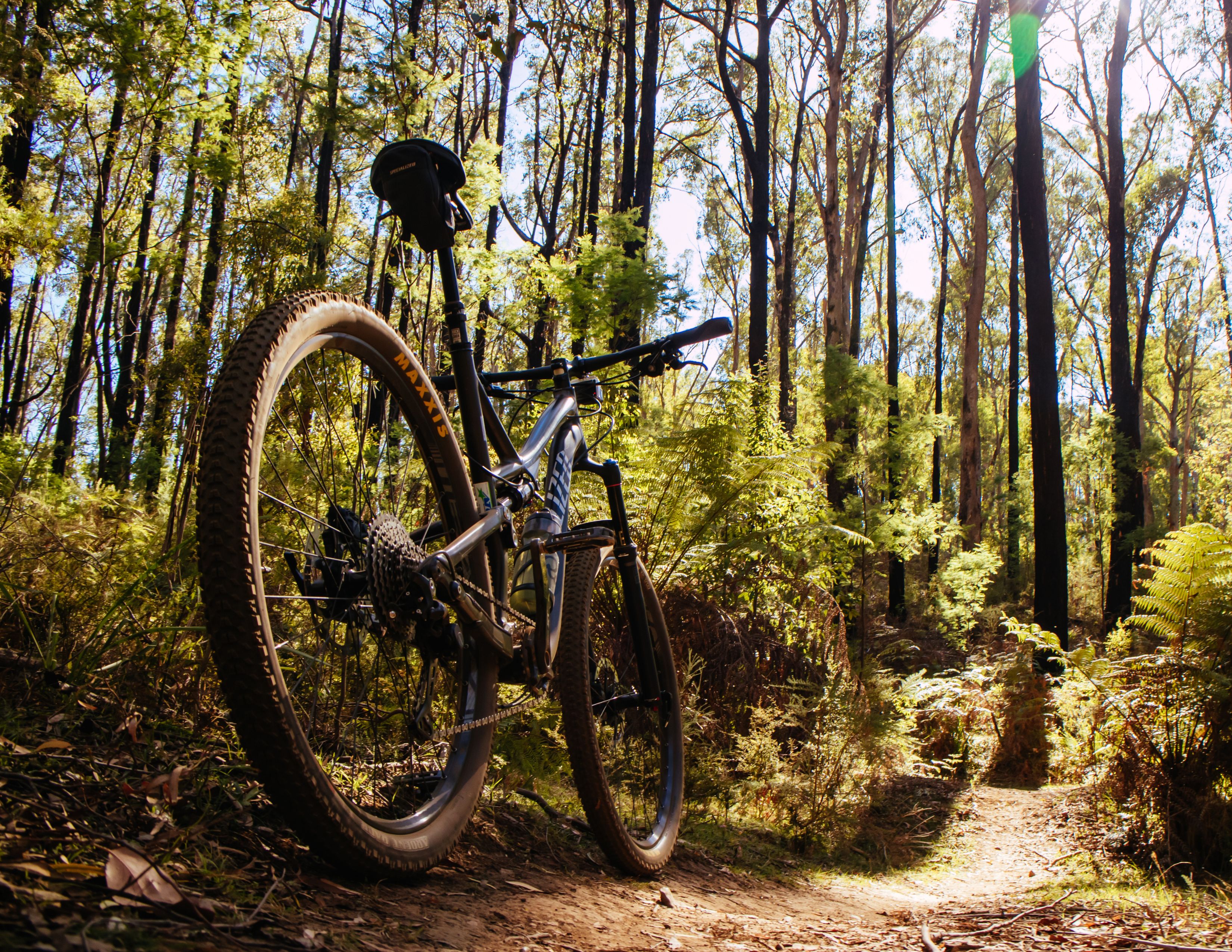 Mountain Biking Near Issaquah |