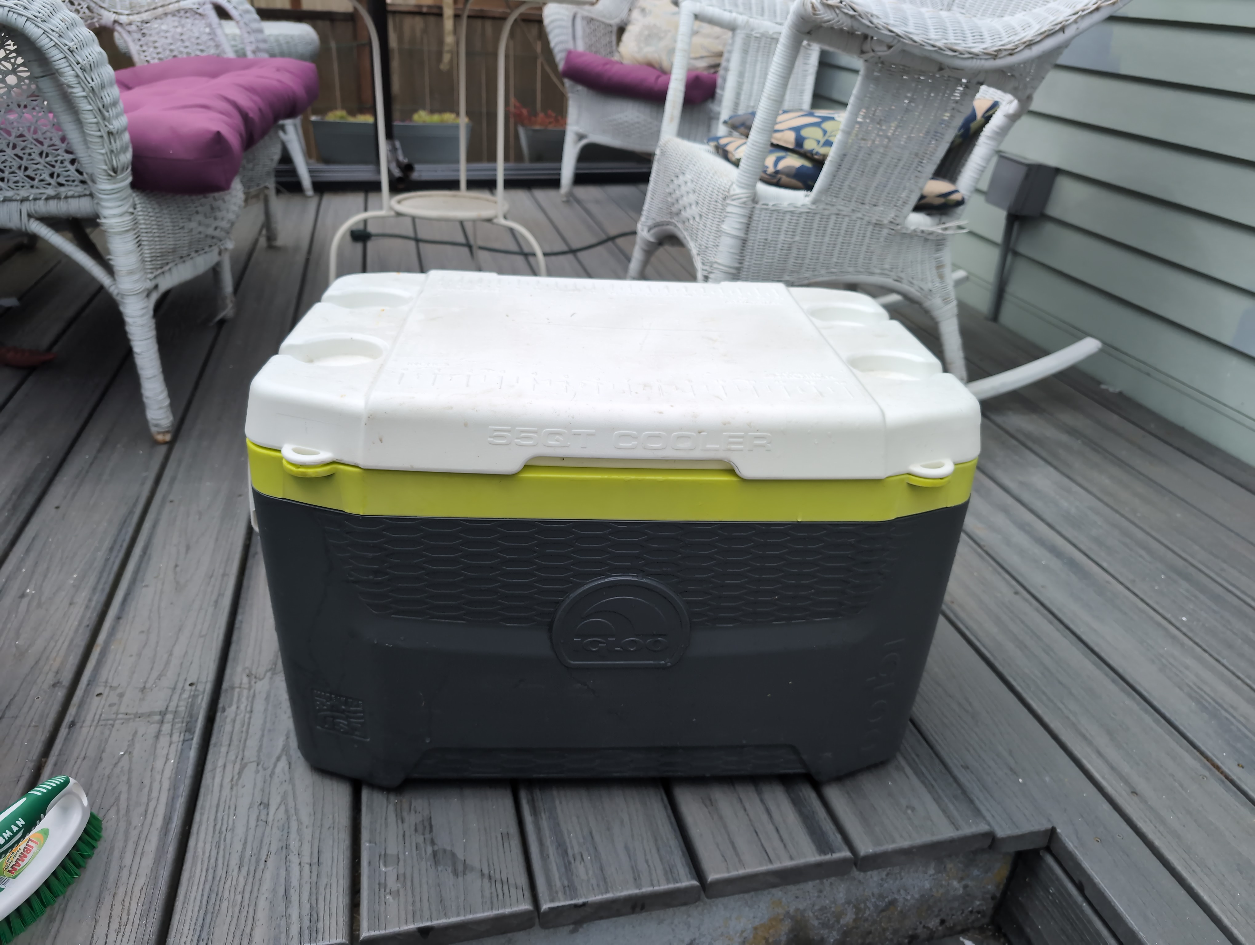 Igloo Cooler Seattle Rental |
