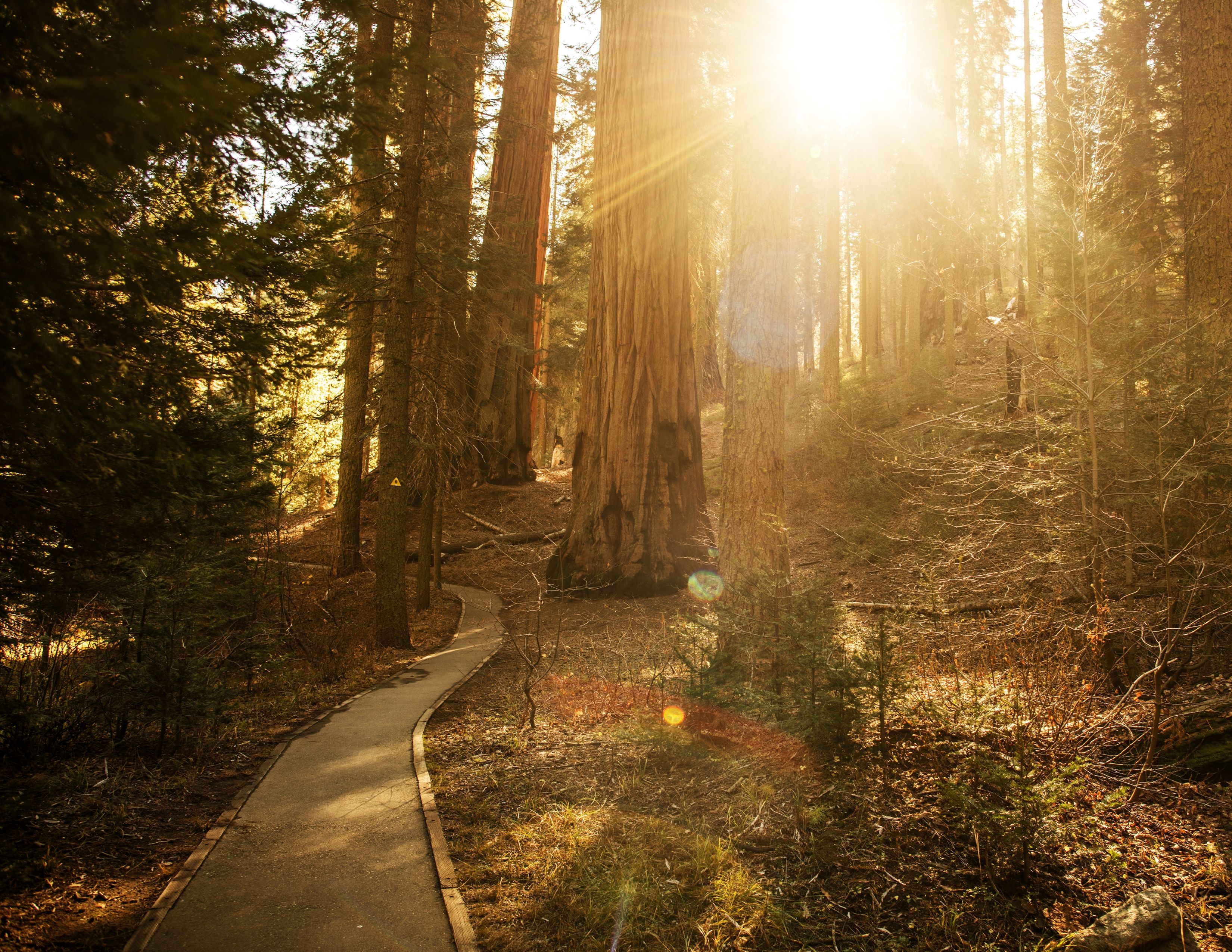 Hiking scenic trails California |