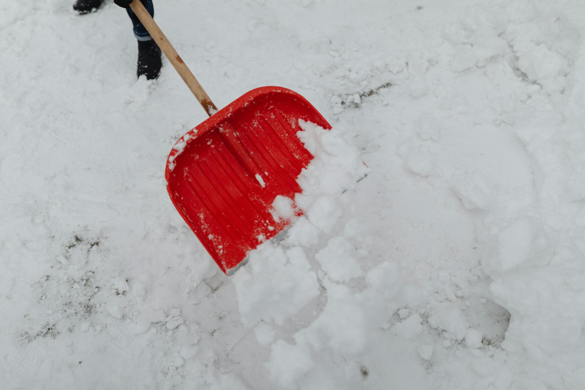 knoxville avalanche shovel |