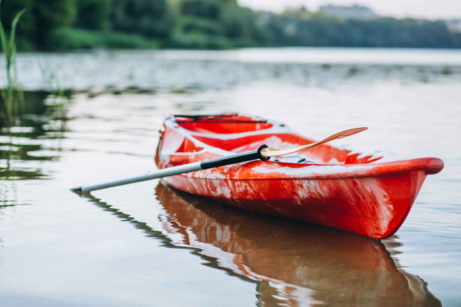kayak | 