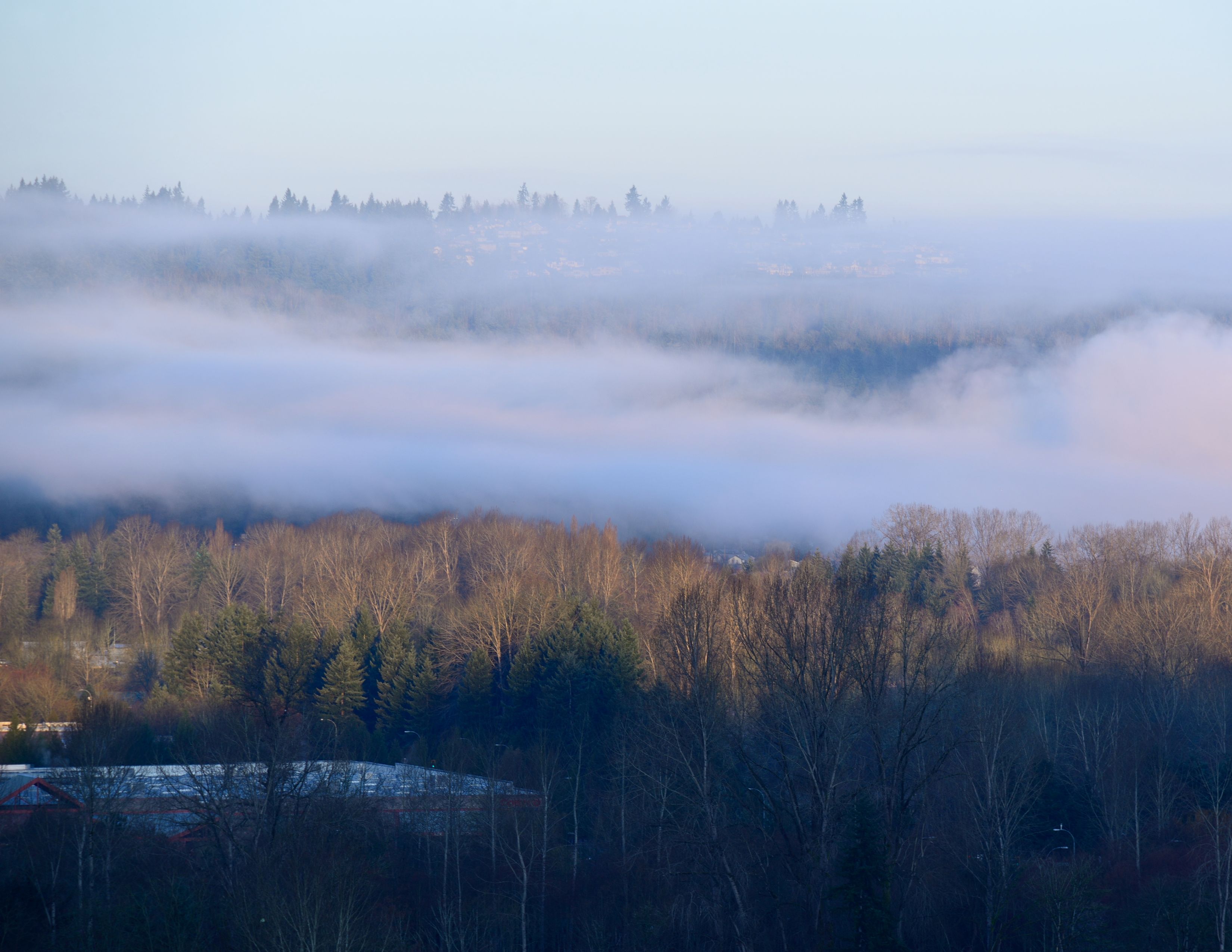 Downtown Issaquah View |