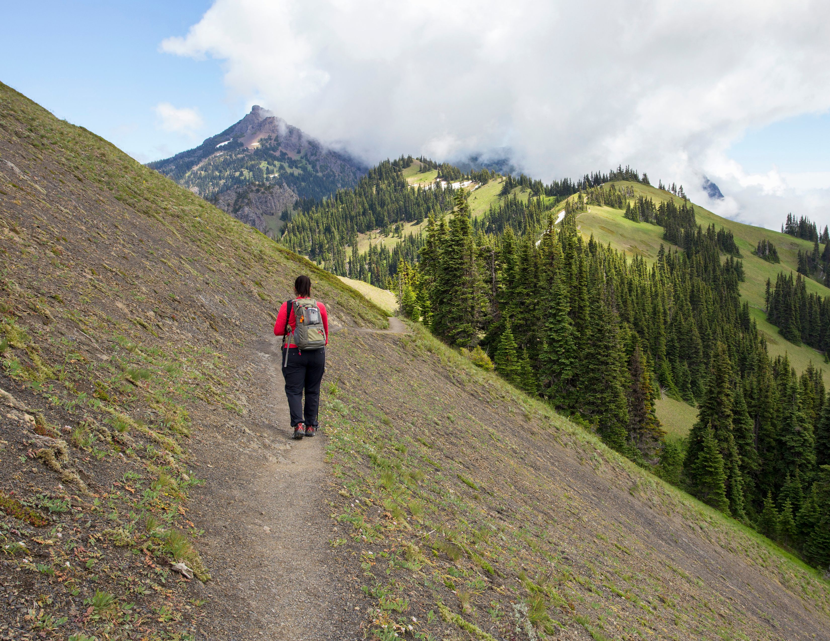 Hiking Around Seattle |