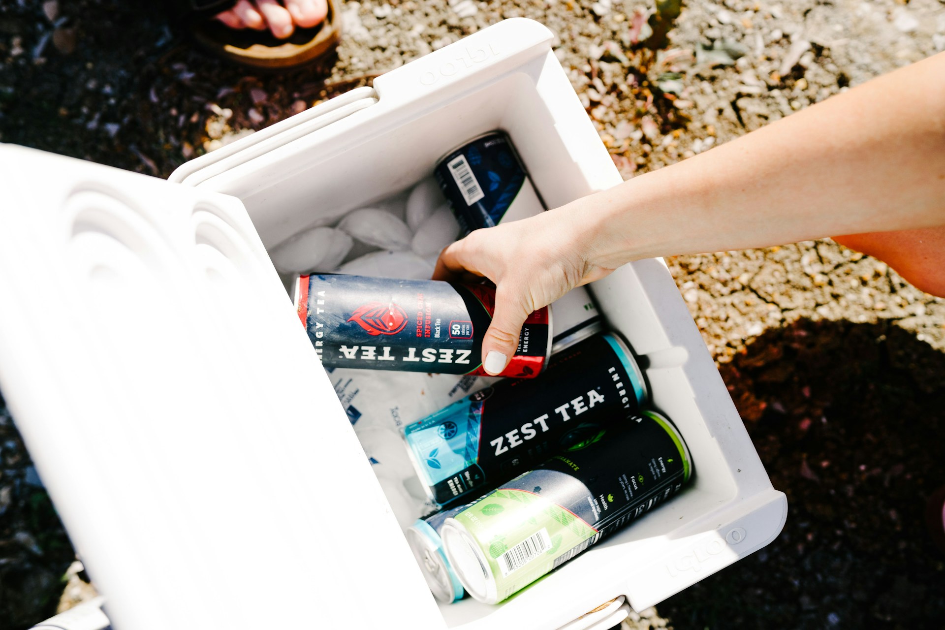cooler rental | 