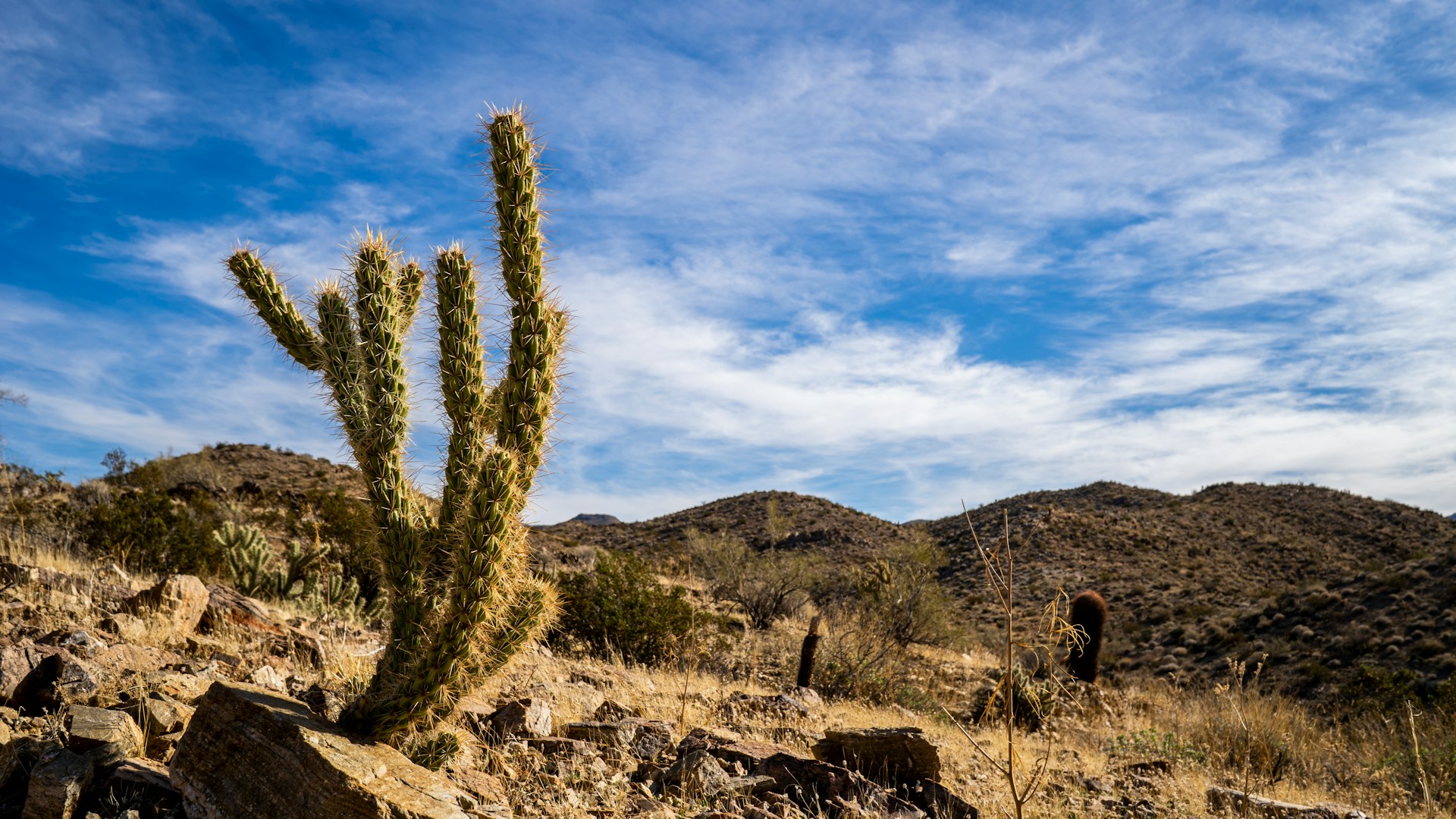 Palm Springs |
