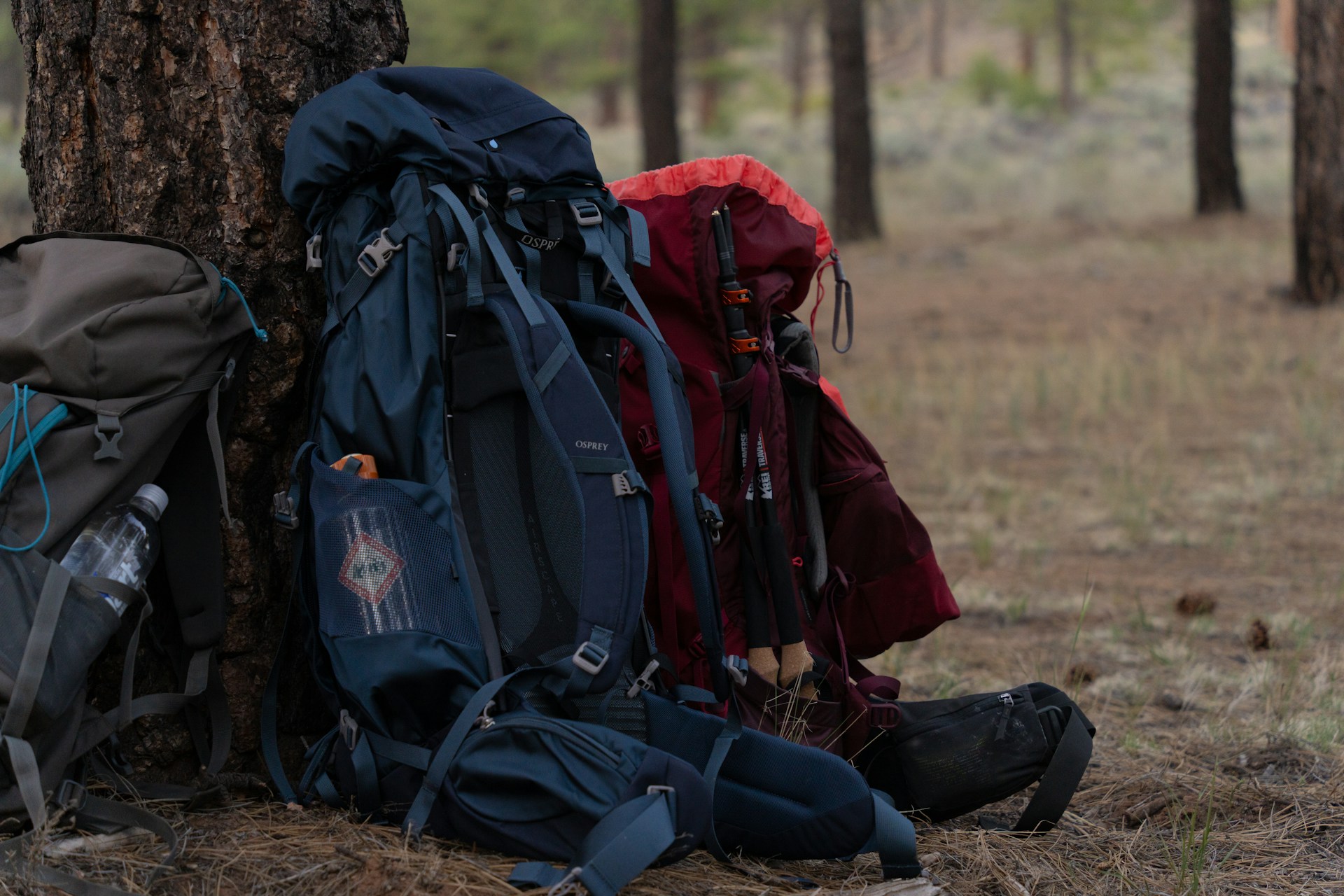 backpacking | 